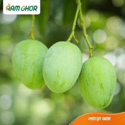 ল্যাংড়া আম / Langra ‍Aam