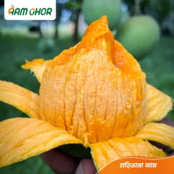 হাড়িভাঙ্গা আম / Harivanga Aam